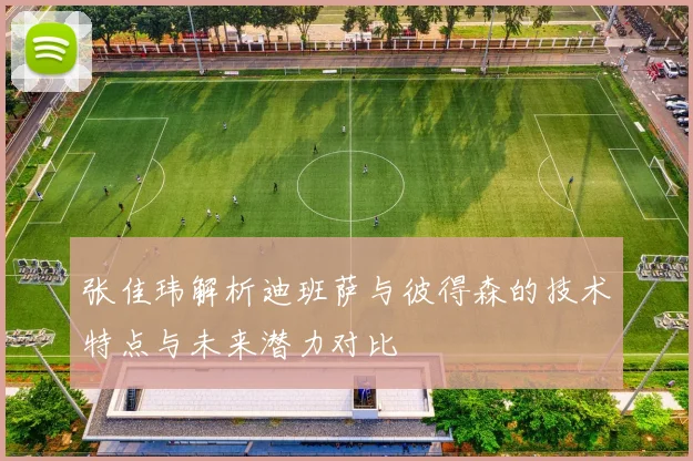 张佳玮解析迪班萨与彼得森的技术特点与未来潜力对比