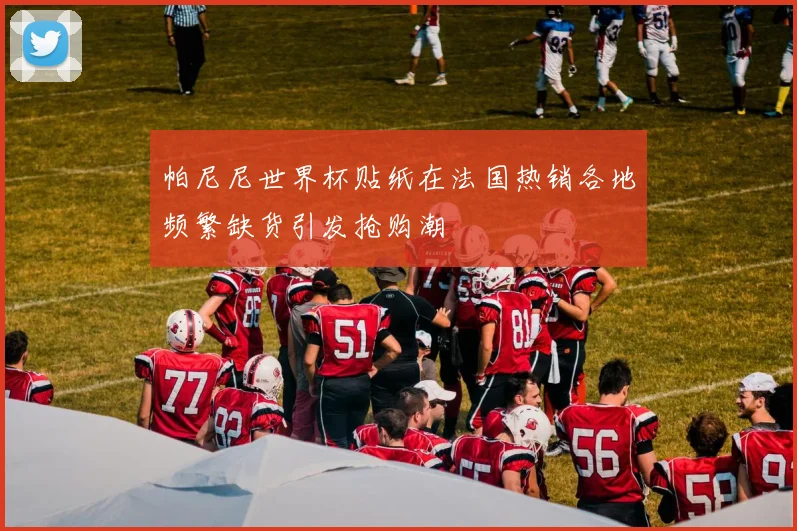 帕尼尼世界杯贴纸在法国热销各地频繁缺货引发抢购潮