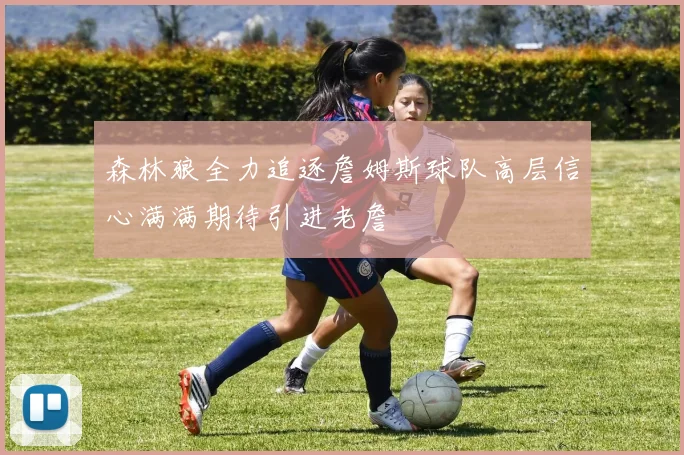 森林狼全力追逐詹姆斯球队高层信心满满期待引进老詹